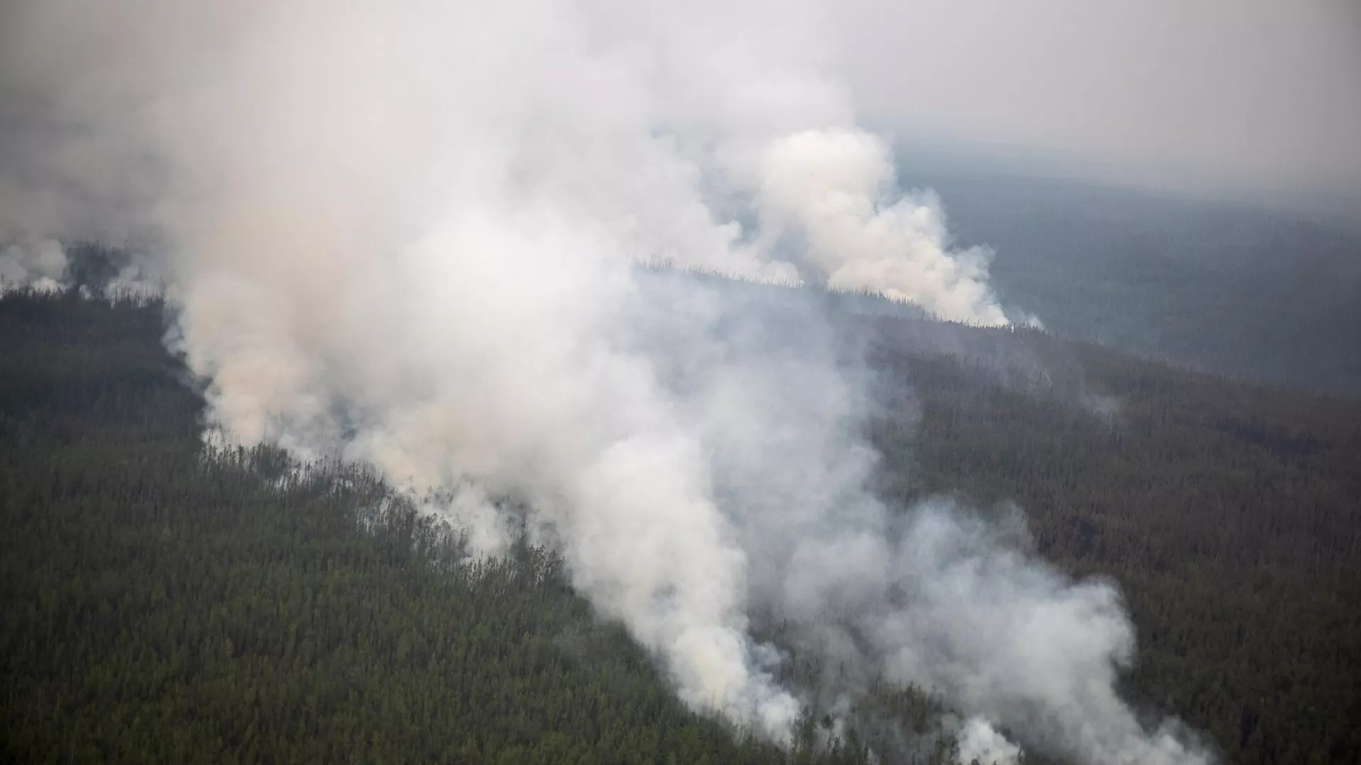 Humo por incendios forestales en Siberia Humo por incendios forestales en Siberia - Sputnik Mundo, 1920, 20.07.2021