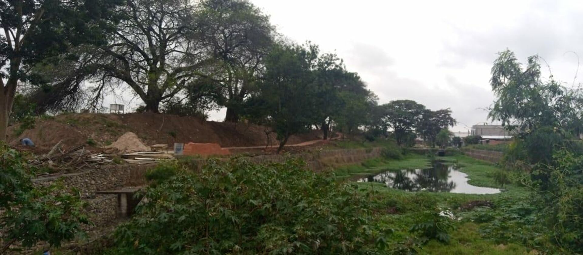 La zona de la laguna Palma Verde, donde habitan caimanes yacaré - Sputnik Mundo, 1920, 21.07.2021
