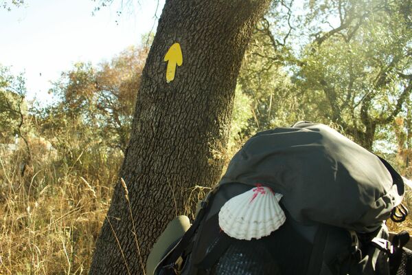 Pedro hidalgo en su Camino a Santiago (Vía de la Plata) - Sputnik Mundo