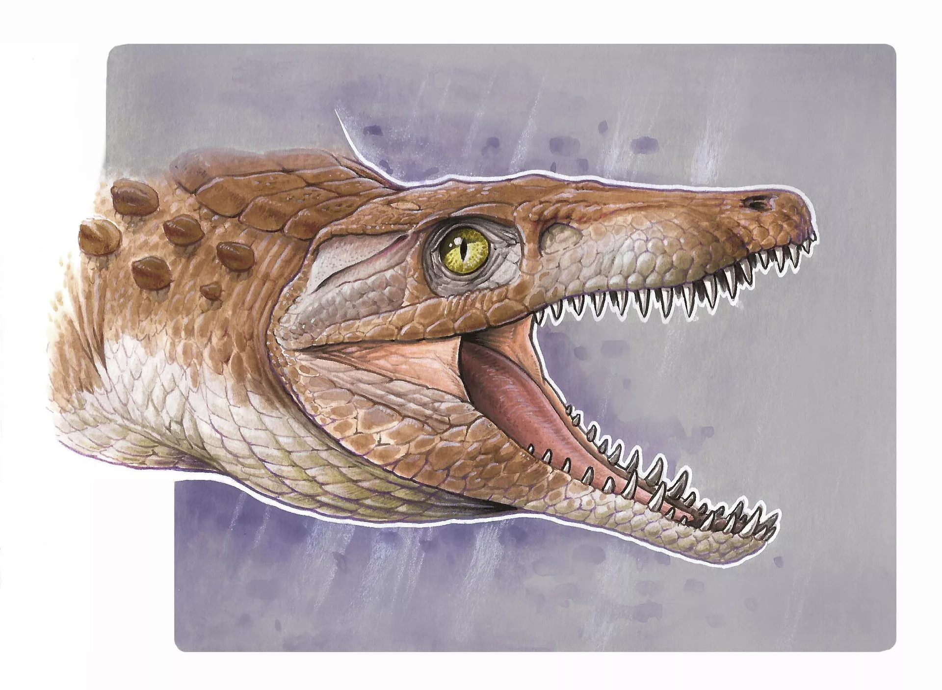 Burkesuchus mallingrandensis Burkesuchus mallingrandensis - Sputnik Mundo, 1920, 23.07.2021