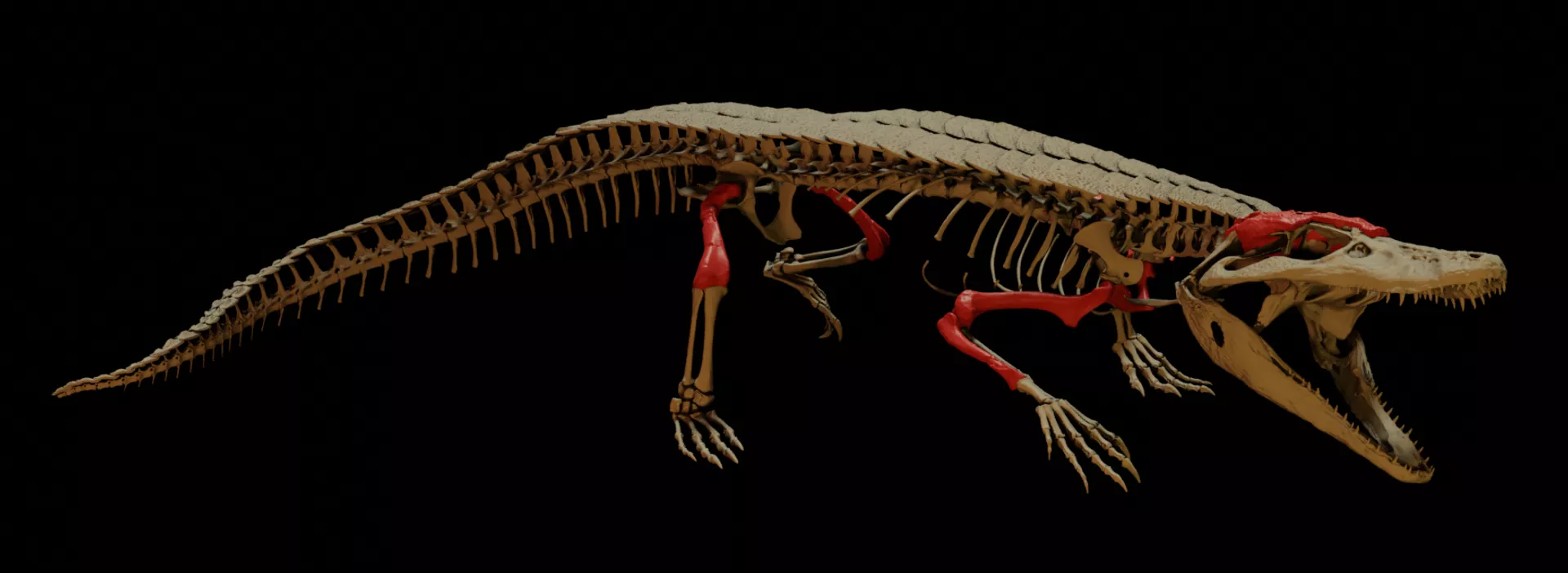 Burkesuchus mallingrandensis Burkesuchus mallingrandensis - Sputnik Mundo, 1920, 23.07.2021