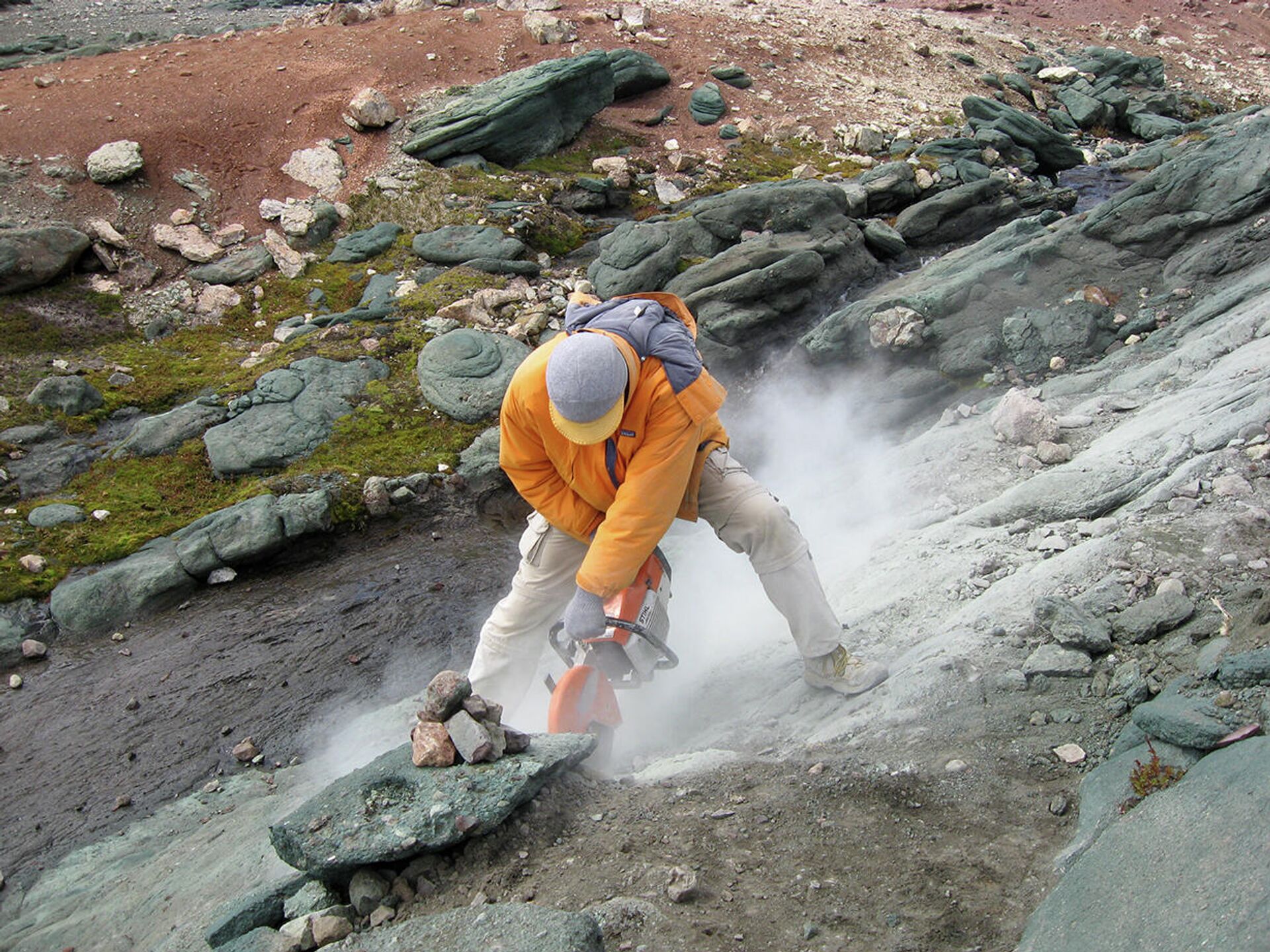 Burkesuchus mallingrandensis - Sputnik Mundo, 1920, 23.07.2021