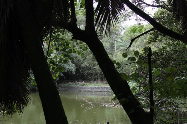 Finca de Burle Marx - Sputnik Mundo