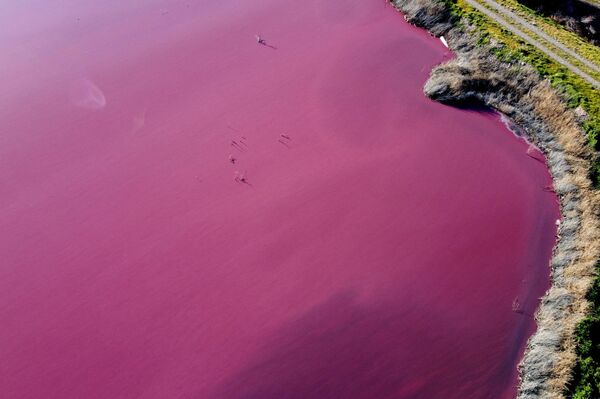 Los vecinos de la localidad hace tiempo que se quejan. - Sputnik Mundo