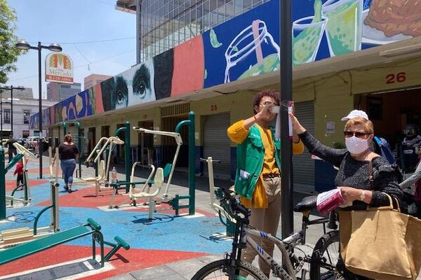 Familia y autoridades realizan búsqueda de la defensora Grisell Rivera en la CDMX - Sputnik Mundo