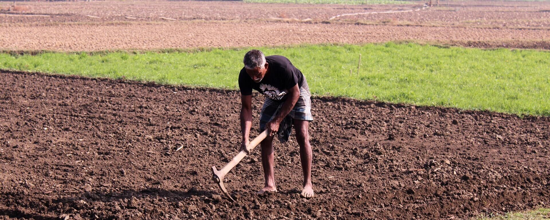 Un trabajador de campo (imagen referencial) - Sputnik Mundo, 1920, 25.04.2022