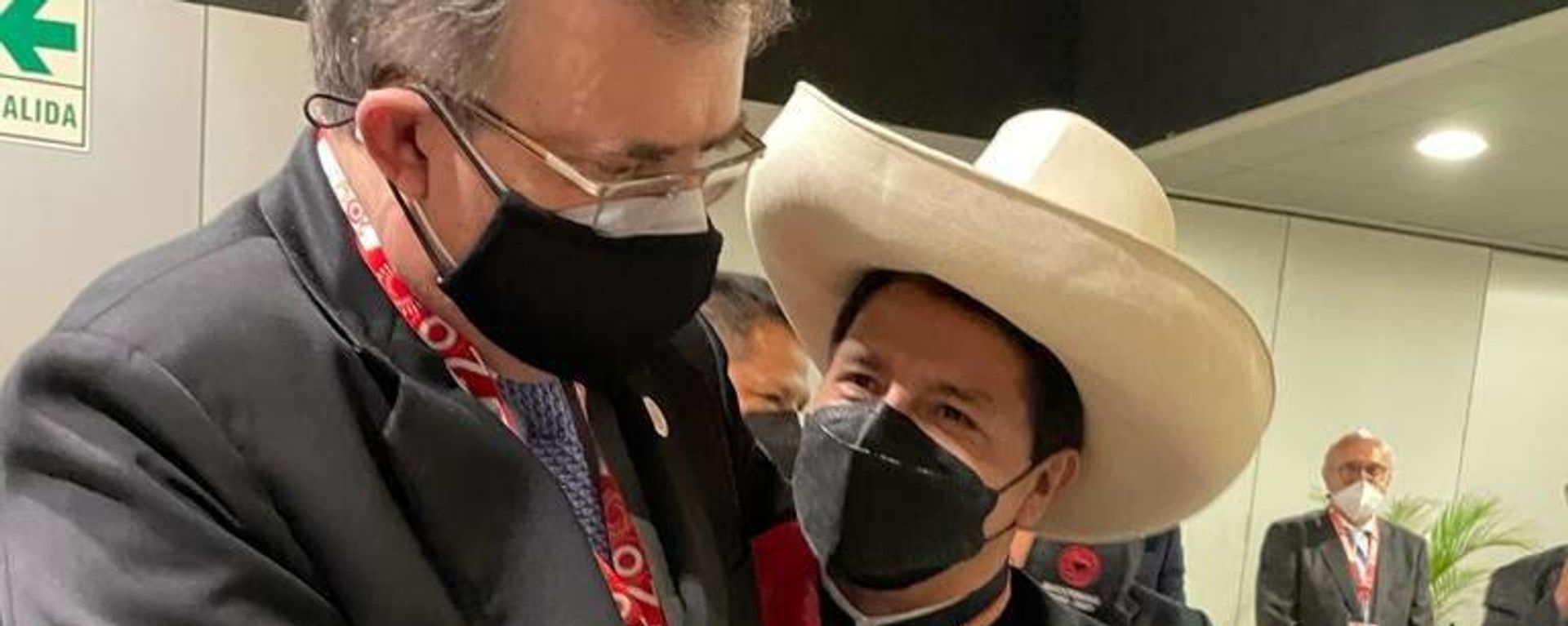 El canciller mexicano, Marcelo Ebrard, junto al nuevo presidente de Perú, Pedro Castillo El canciller mexicano, Marcelo Ebrard, junto al nuevo presidente de Perú, Pedro Castillo - Sputnik Mundo, 1920, 29.07.2021