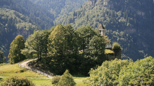 Bosque en Ticino, Suiza (archivo) - Sputnik Mundo