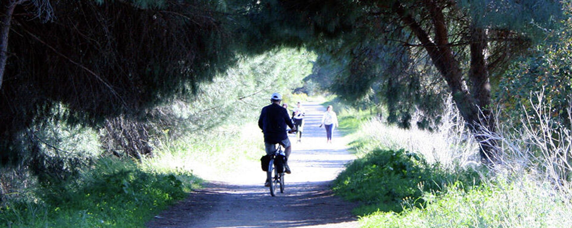 Un ciclista y una pareja de caminantes en una cicloturística de la Sierra de Huelva - Sputnik Mundo, 1920, 29.07.2021