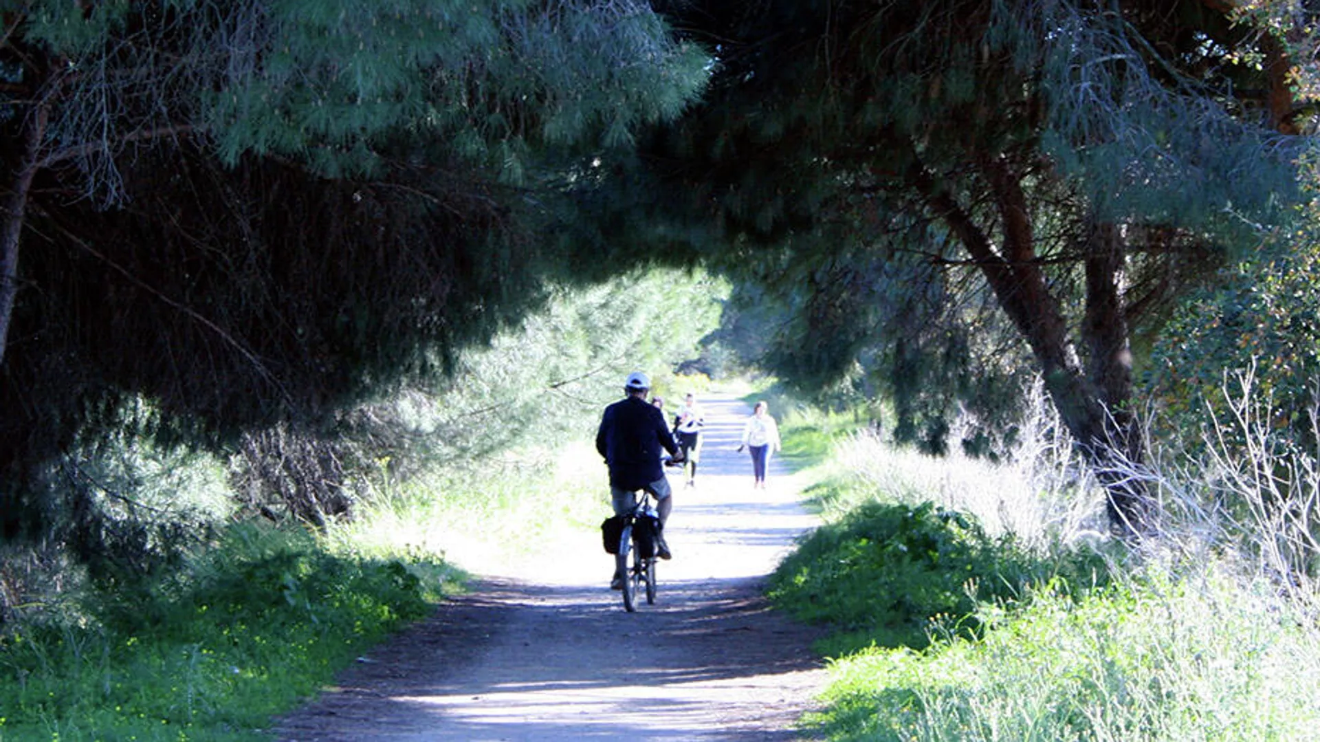 Un ciclista y una pareja de caminantes en una cicloturística de la Sierra de Huelva