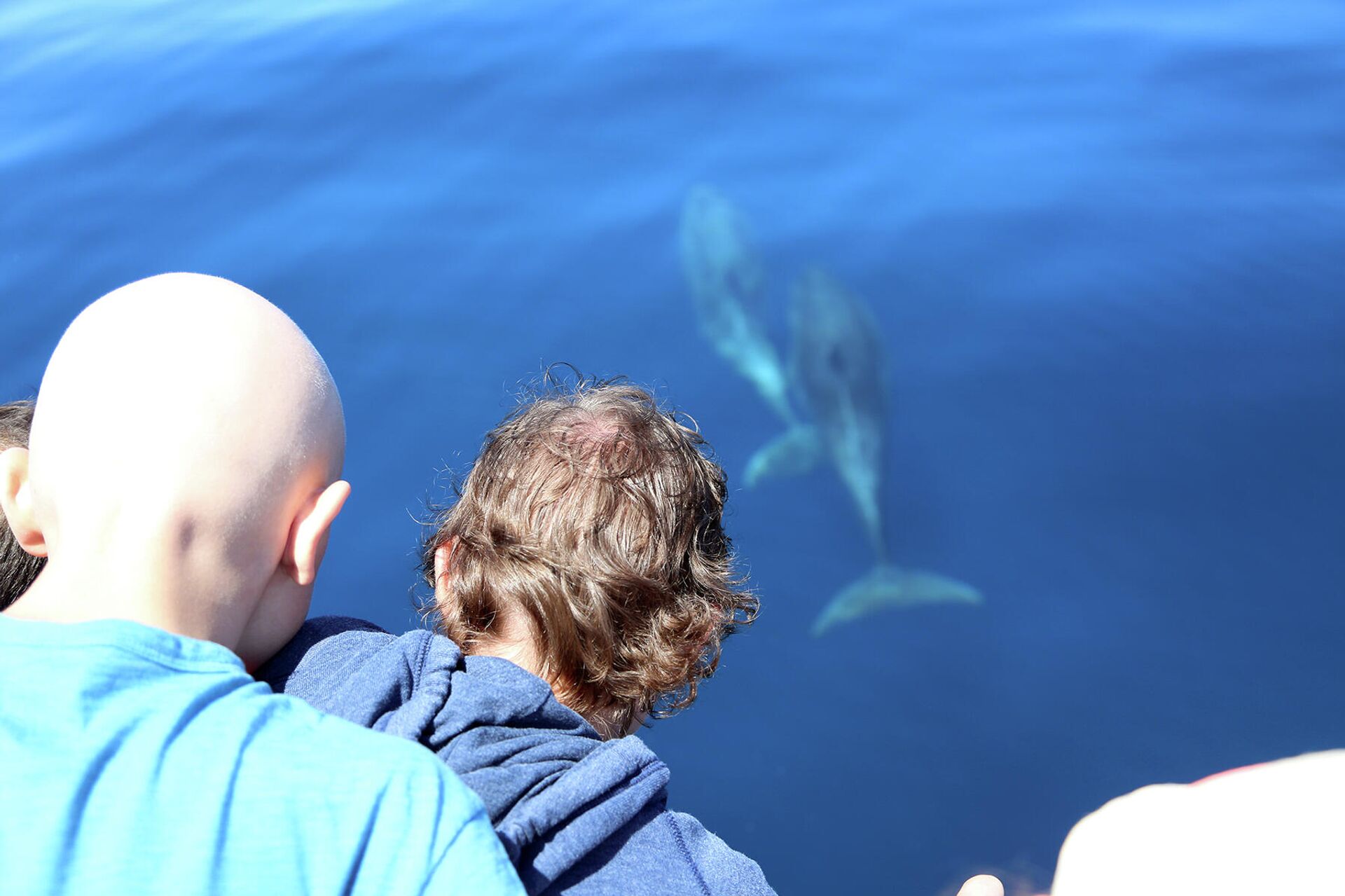 Niños de la Fundación Blas Méndez Ponce de viaje - Sputnik Mundo, 1920, 30.07.2021