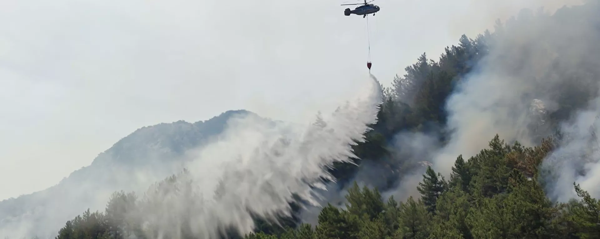 Incendios forestales en Turquía - Sputnik Mundo, 1920, 06.08.2021