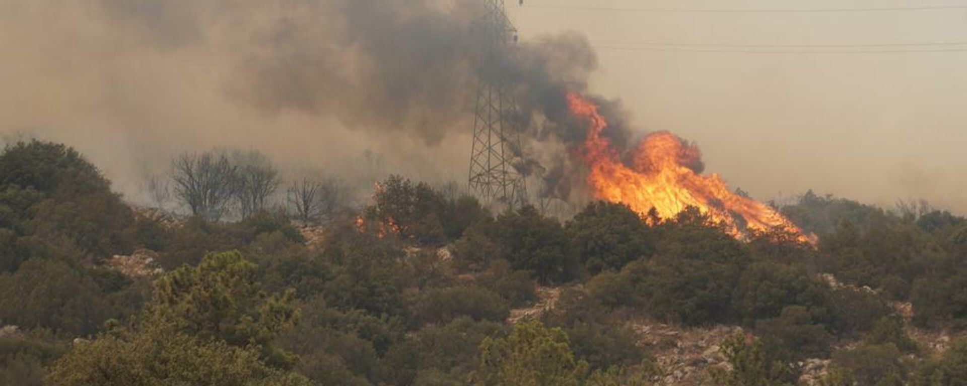 Incendios forestales en Turquía - Sputnik Mundo, 1920, 01.08.2021