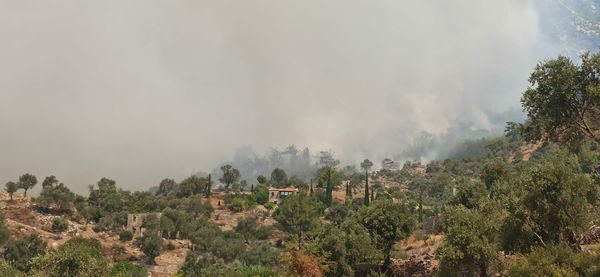 Las llamas cerca de una cabaña en las montañas turcas.
 - Sputnik Mundo