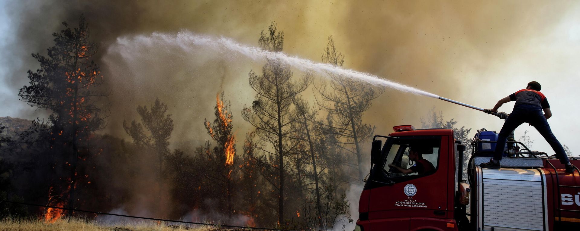Incendios forestales en Turquía Incendios forestales en Turquía - Sputnik Mundo, 1920, 02.08.2021
