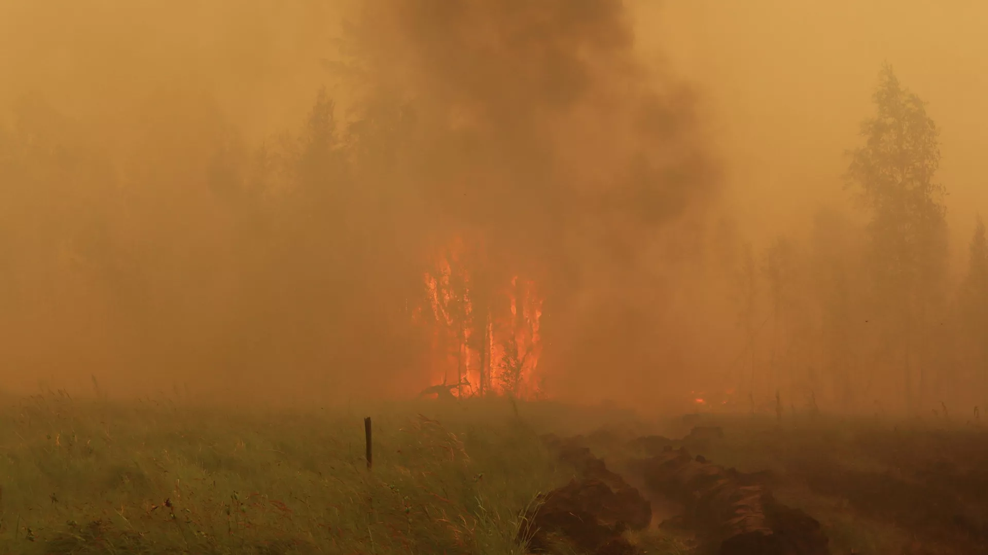 Los incendios forestales en Yakutia, Rusia