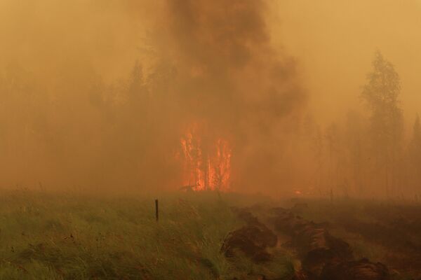 Los incendios forestales en Yakutia, Rusia - Sputnik Mundo