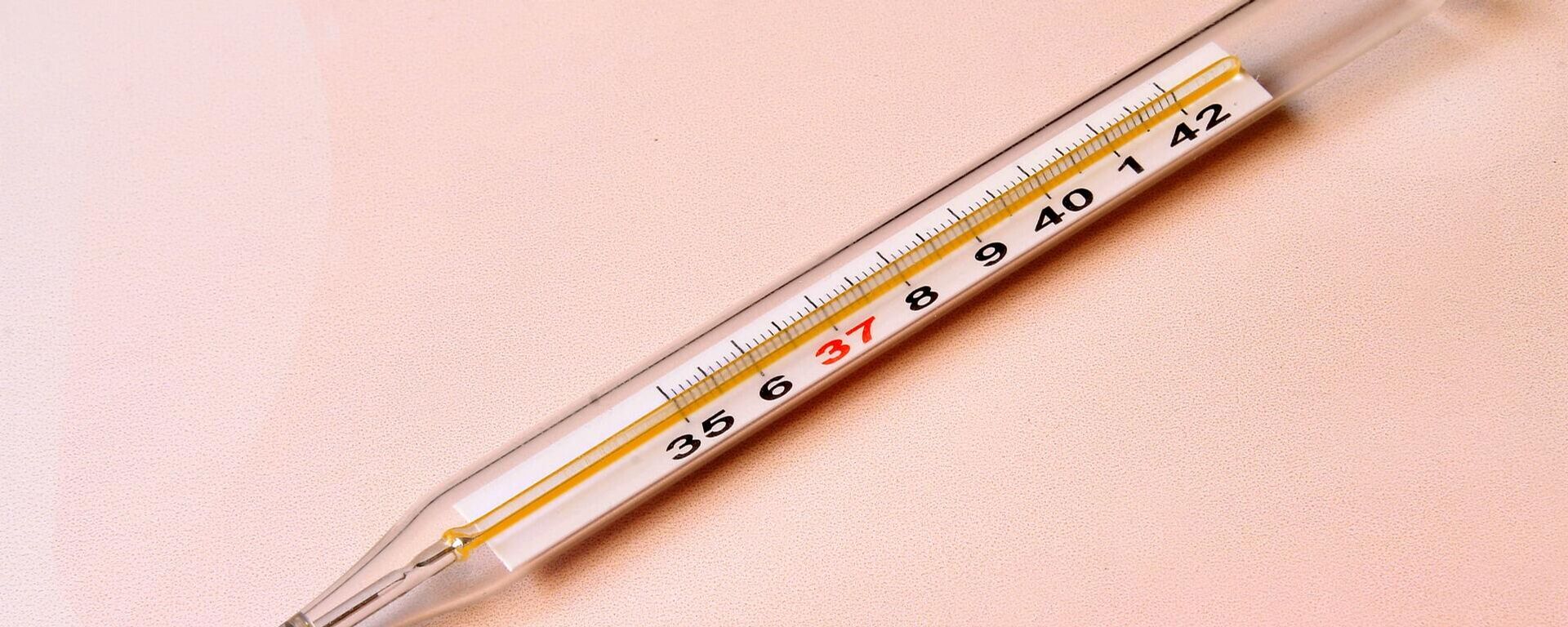 Un termómetro Un termómetro - Sputnik Mundo, 1920, 29.08.2021