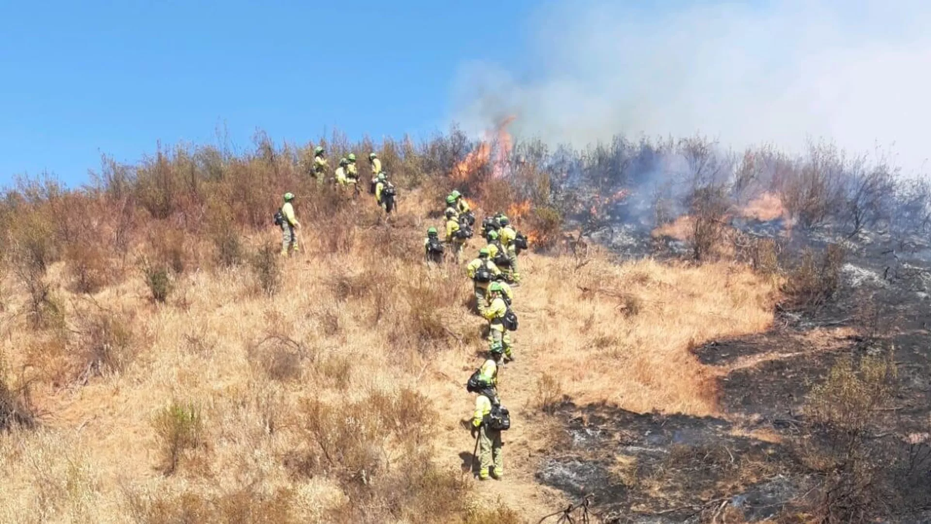 Bomberos del Infoca en primera línea en IF Villarrasa Bomberos del Infoca en primera línea en IF Villarrasa - Sputnik Mundo, 1920, 06.08.2021