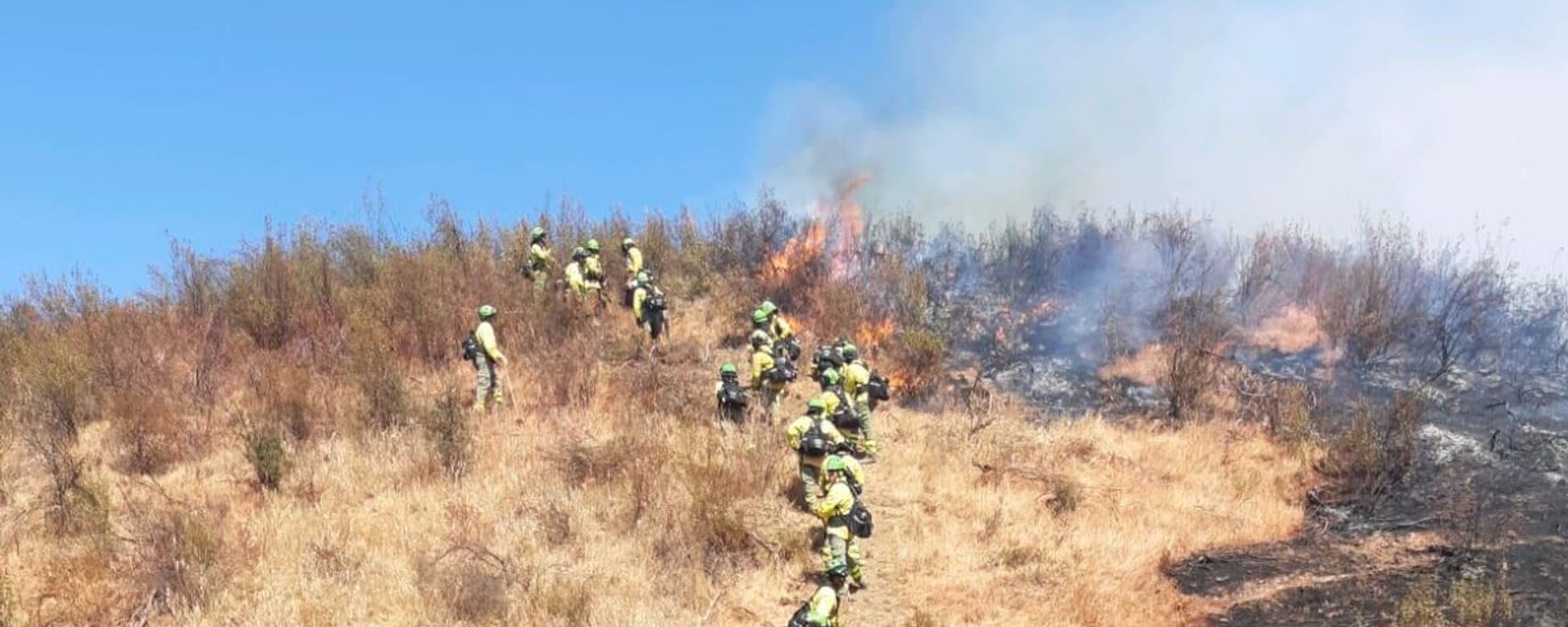 Bomberos del Infoca en primera línea en IF Villarrasa - Sputnik Mundo, 1920, 06.08.2021