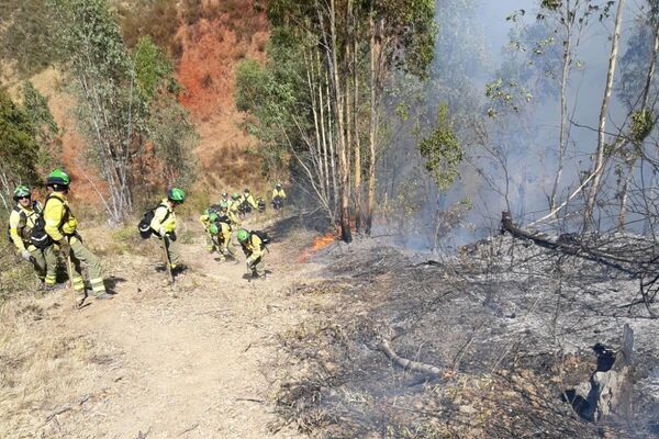 Bomberos del Infoca en primera línea en IF Villarrasa - Sputnik Mundo
