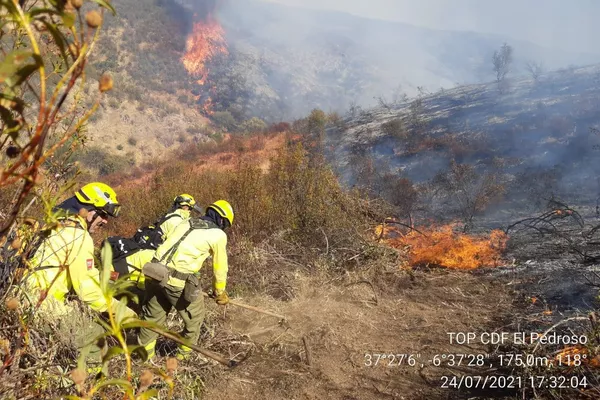 Bomberos del Infoca en primera línea en IF Villarrasa Bomberos del Infoca en primera línea en IF Villarrasa - Sputnik Mundo