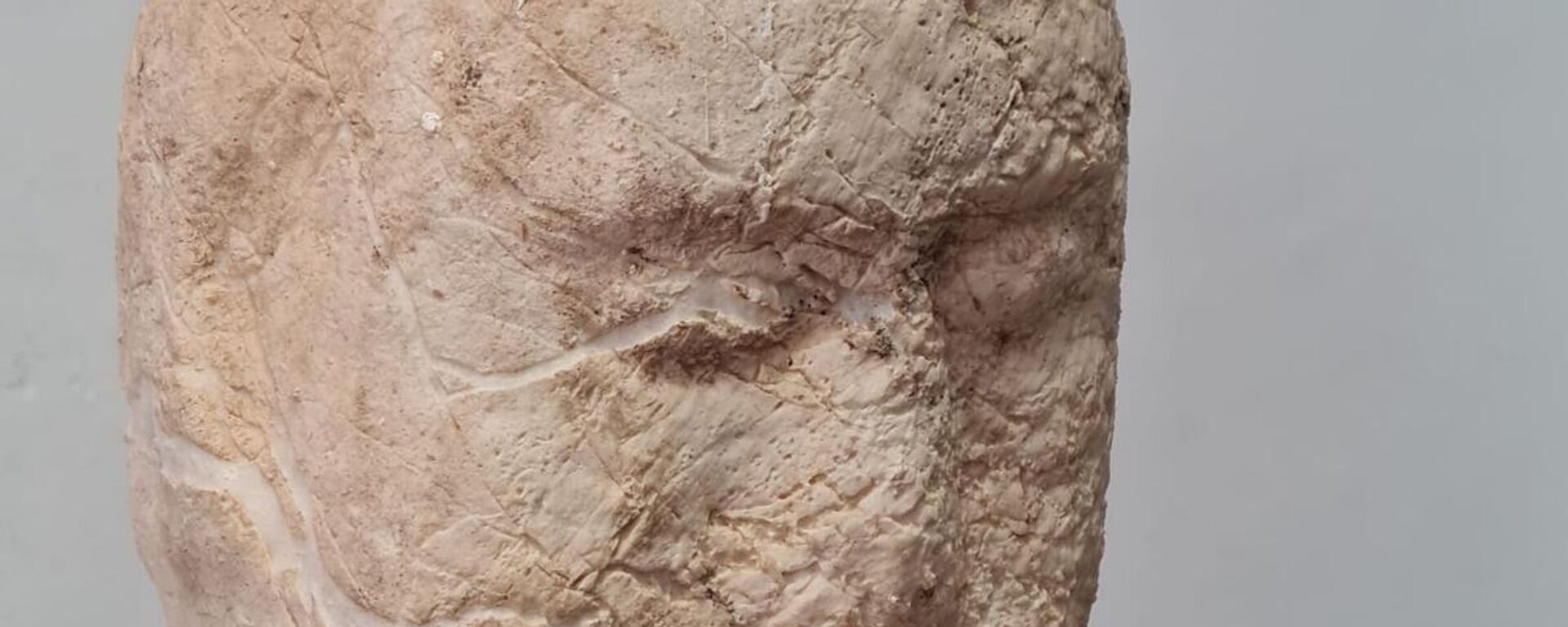 Imagen del hallazgo en El Rubio (Sevilla) - Sputnik Mundo, 1920, 09.08.2021