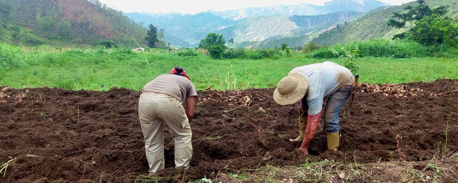 El plan 'Pueblo a Pueblo' nace en 2015, año en que EE.UU. impone el bloqueo económico a Venezuela - Sputnik Mundo, 1920, 11.08.2021