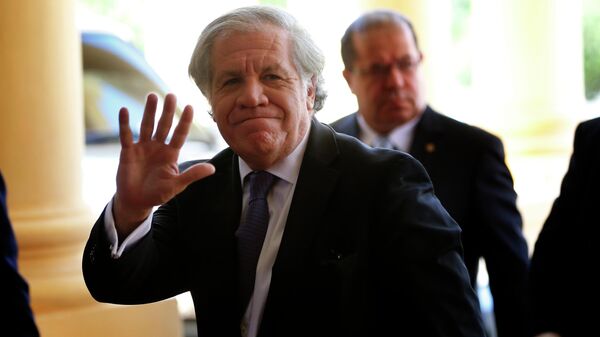 Luis Almagro - Sputnik Mundo