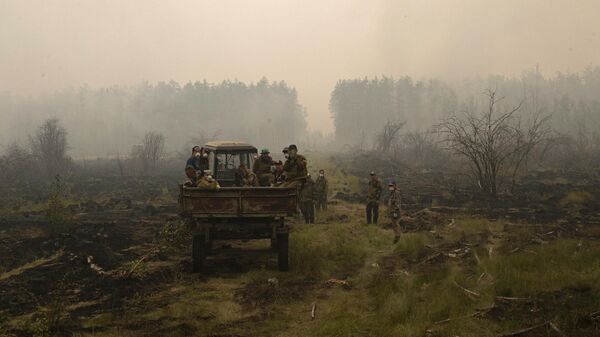 Incendios forestales en Rusia - Sputnik Mundo