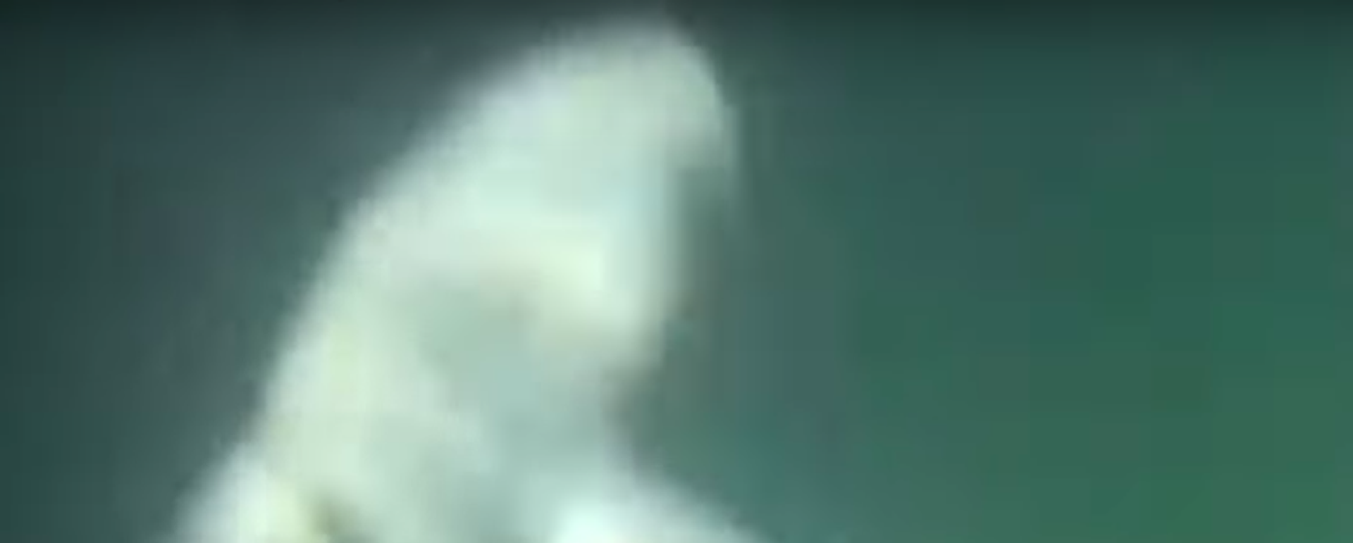 Un nadador es rodeado por decenas de tiburones cerca de la costa británica - Sputnik Mundo, 1920, 15.08.2021