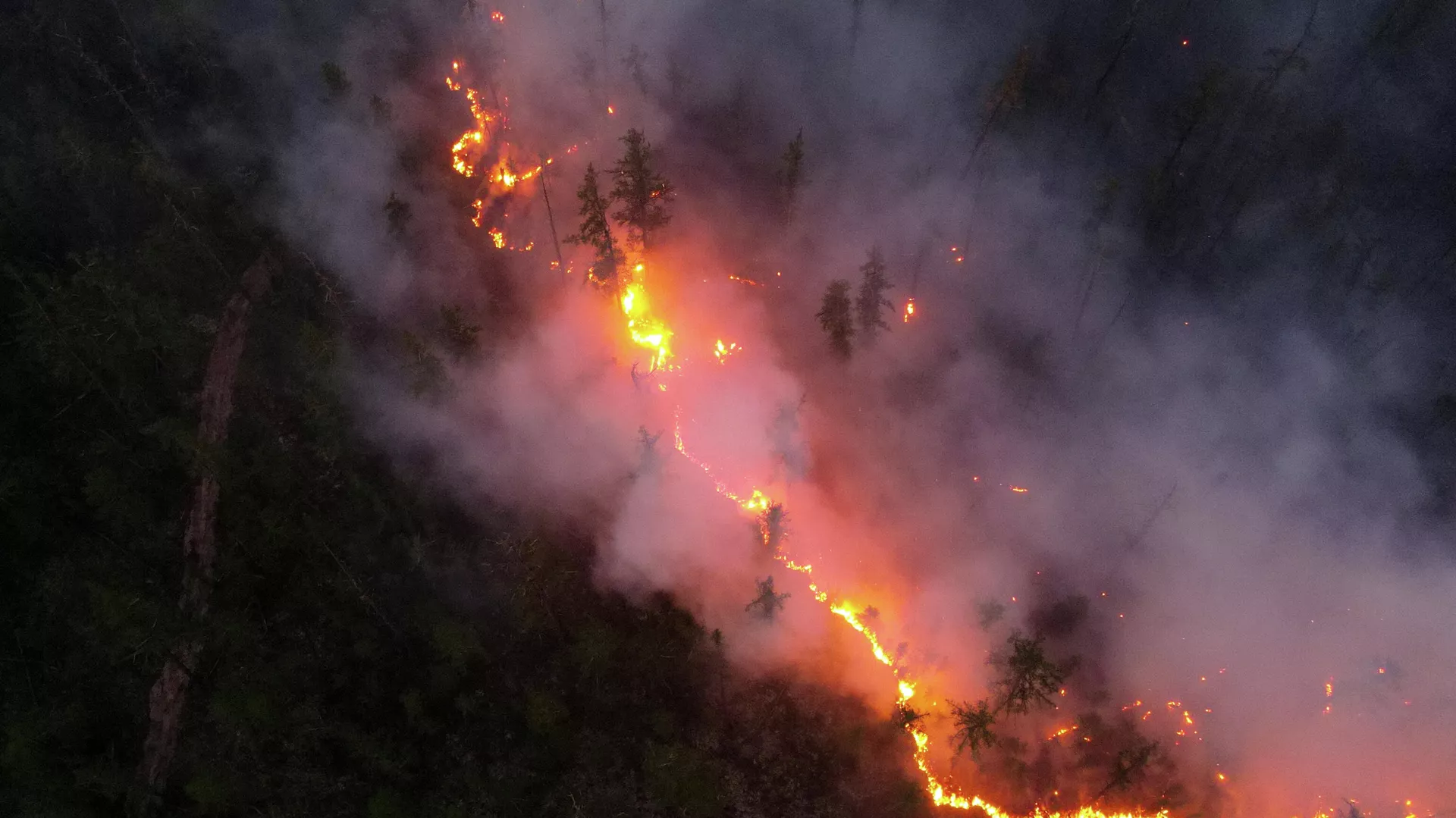 Incendios forestales en la república rusa de Sajá-Yakutia Incendios forestales en la república rusa de Sajá-Yakutia - Sputnik Mundo, 1920, 15.08.2021