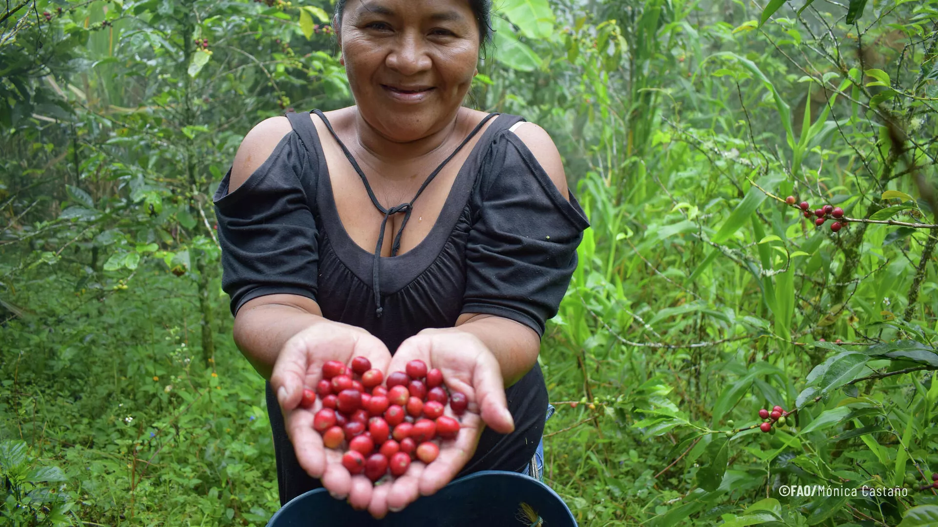 Hacia una agricultura sostenible y resiliente en América Latina y el Caribe