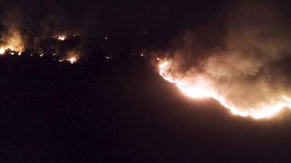 Un globo ornamental provoca un incendio forestal en un parque de Brasil  - Sputnik Mundo