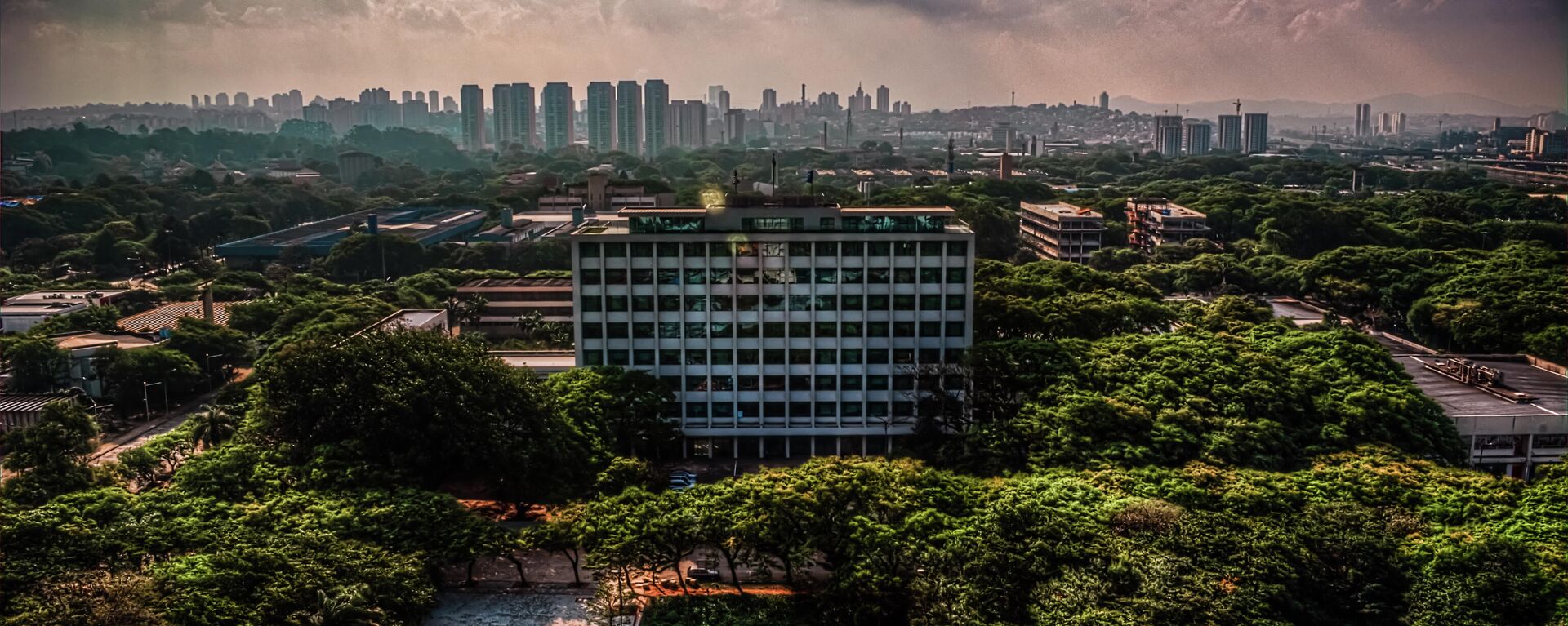 Universidad de Sao Paulo, Brasil - Sputnik Mundo, 1920, 10.06.2024