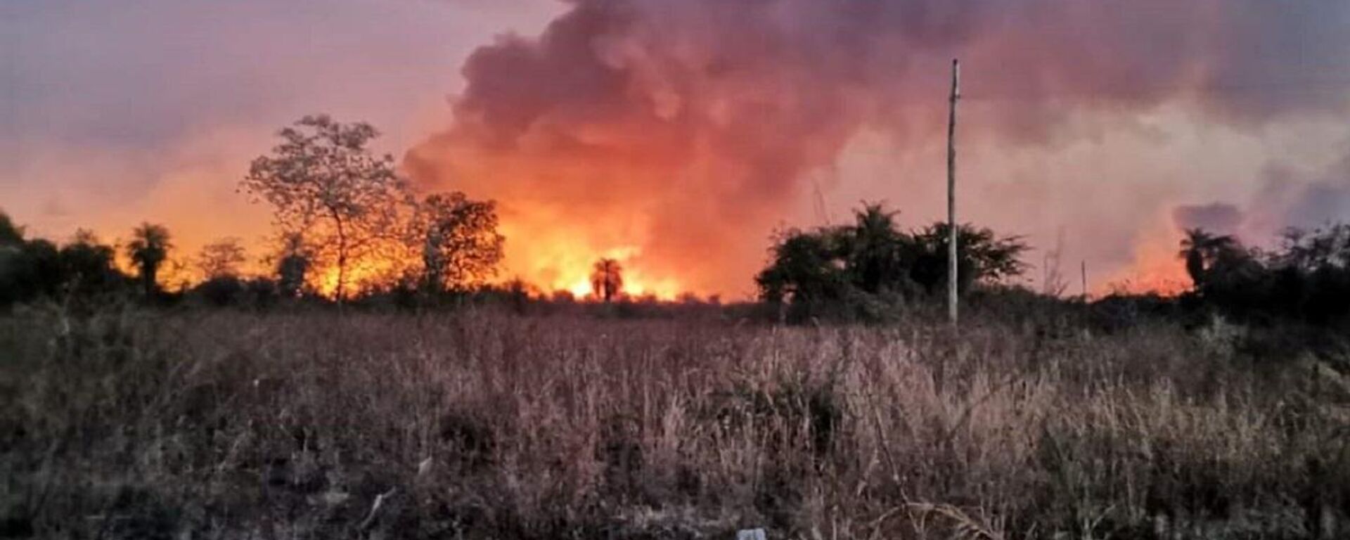 Incendios forestales en Reboré, Santa Cruz, Bolivia - Sputnik Mundo, 1920, 23.08.2023