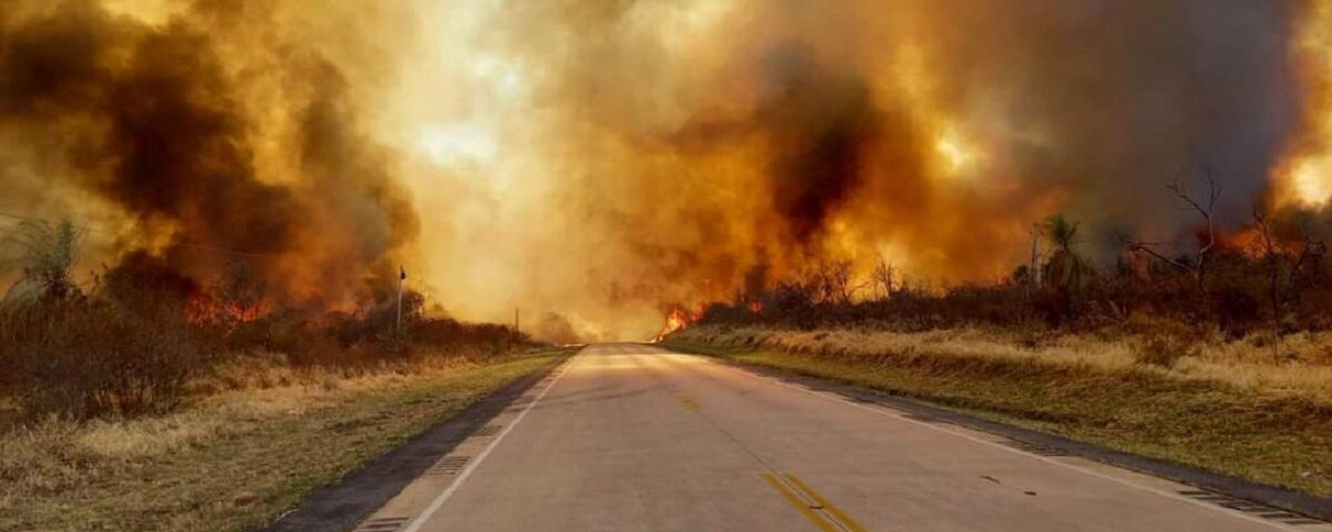 Incendios forestales en Reboré, Santa Cruz, Bolivia Incendios forestales en Reboré, Santa Cruz, Bolivia - Sputnik Mundo, 1920, 24.06.2022