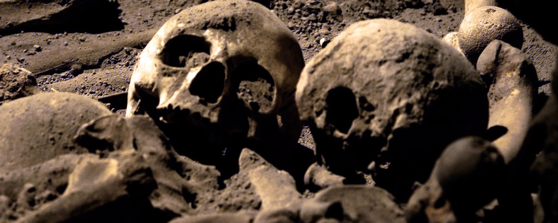 Esqueletos, imagen referencial Esqueletos, imagen referencial - Sputnik Mundo, 1920, 27.12.2021