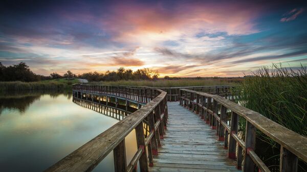 Panorámica de las Tablas de Daimiel, parque natural en Ciudad Real (España) - Sputnik Mundo