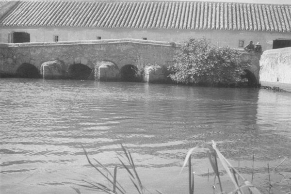Molino de Molemocho y río Guadiana en Las Tablas de Daimiel, Parque Natural de Ciudad Real (España) - Sputnik Mundo