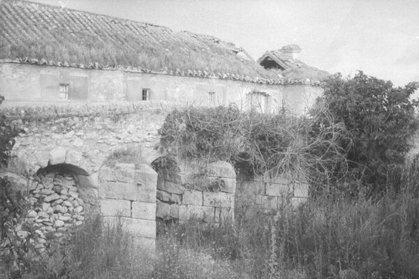 Molino de Molemocho y río Guadiana en Las Tablas de Daimiel, Parque Natural de Ciudad Real (España) - Sputnik Mundo