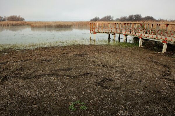 Panorámica de Las Tablas de Daimiel, Parque Natural de Ciudad Real (España) - Sputnik Mundo