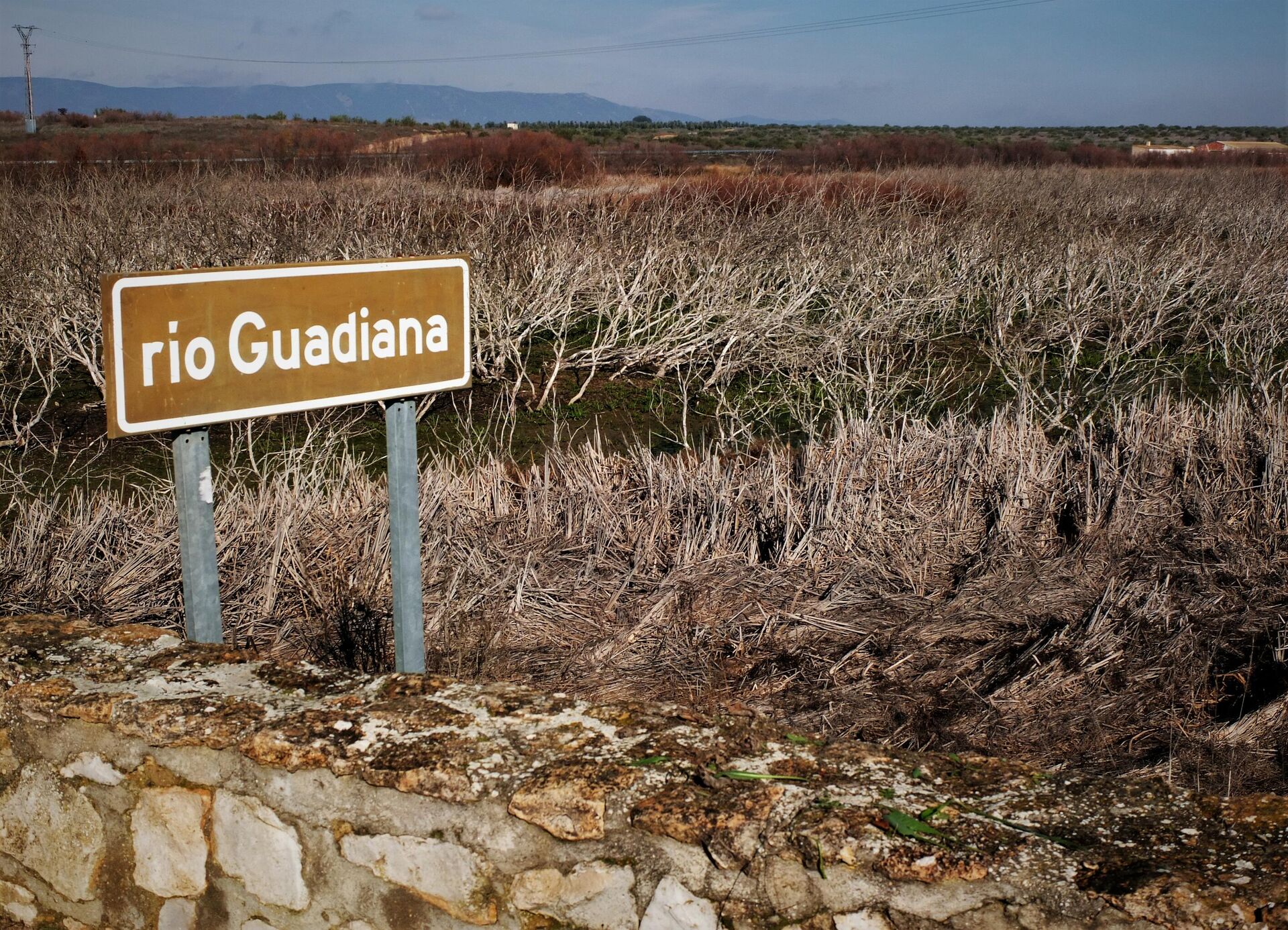 El río Guadiana, a su paso por Las Tablas de Daimiel, Parque Natural de Ciudad Real (España) - Sputnik Mundo, 1920, 27.08.2021
