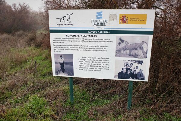 Panel en Las Tablas de Daimiel, Parque Natural de Ciudad Real (España) - Sputnik Mundo