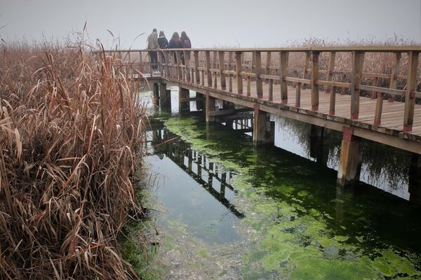 Visitantes en Las Tablas de Daimiel, Parque Natural de Ciudad Real (España) - Sputnik Mundo