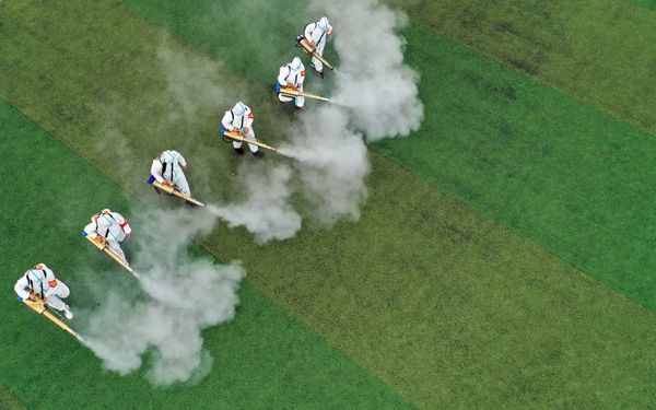 Trabajadores sanitarios desinfectan el terreno de una escuela antes del comienzo de las clases en Bozhou (China). - Sputnik Mundo