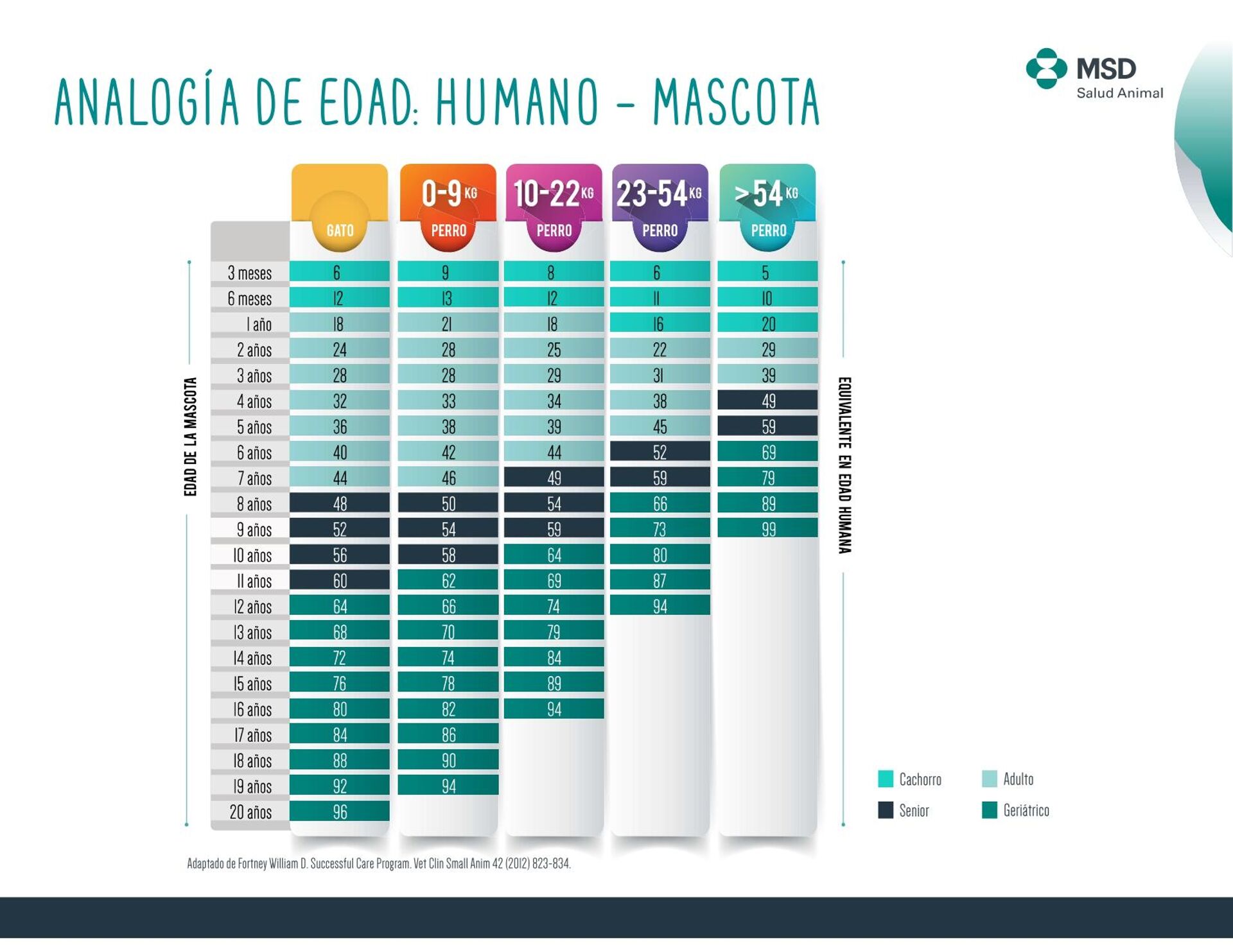 Analogía de edad: humano - mascota - Sputnik Mundo, 1920, 27.08.2021