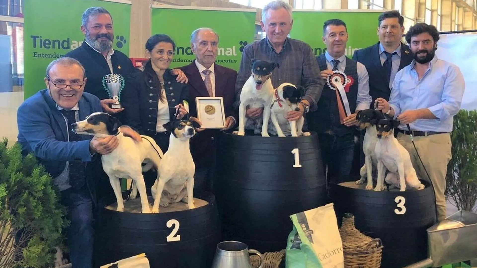 Perro Bodeguero declarado Patrimonio Cultural Inmaterial en Jerez 