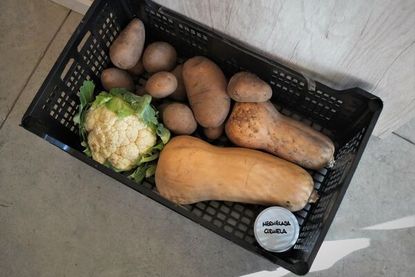 Cesta de hortalizas del grupo de consumo de la cooperativa de viviendas Entrepatios, de Madrid - Sputnik Mundo