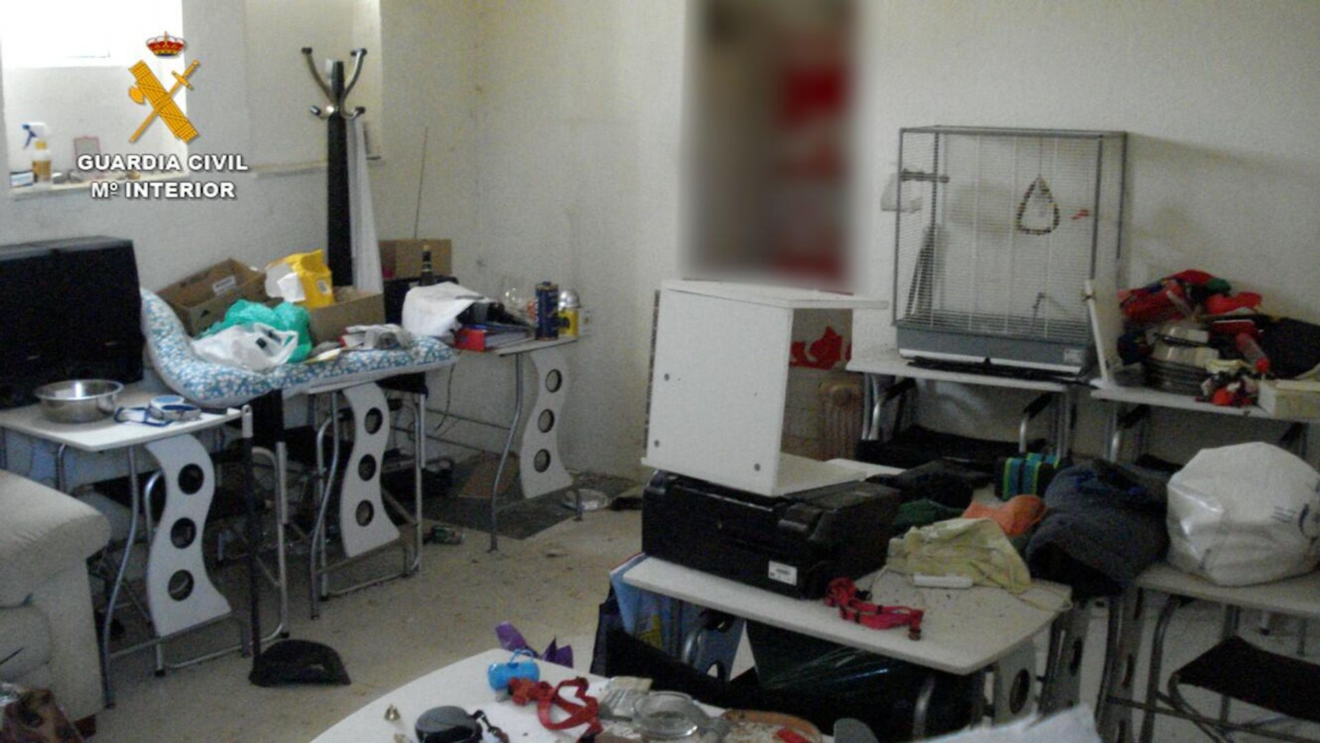 Estado de las instalaciones de la residencia canina El Álamo - Sputnik Mundo, 1920, 03.09.2021